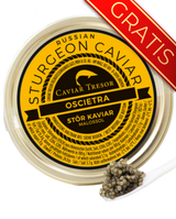 250g ( oder 2 x 125g ) Chin. Imperial Gold Kaviar Gratis dazu: Chin. Ossietra Gueldenstaedtii Kaviar